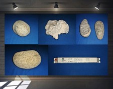 Deko steine aquarium gebraucht kaufen  Kranichfeld