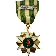 Viet nam campaign d'occasion  Expédié en Belgium