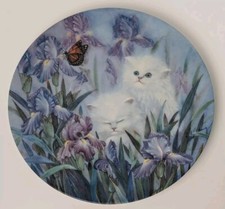 Bradford cat collector for sale  Midland
