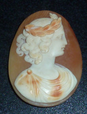 Vintage shell carved for sale  ULVERSTON