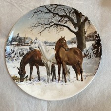 Spode display plate for sale  GLOUCESTER