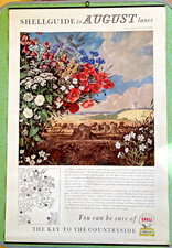 Vintage shell guide for sale  LEAMINGTON SPA