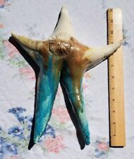 Starfish hanging wall for sale  Green Valley
