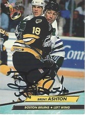 Brent ashton 1992 gebraucht kaufen  Heidelberg