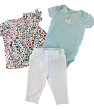 Calça Carter's One Piece Body Suit Camisa 3 Peças Bebê Menina 3 Meses Floral Elefante comprar usado  Enviando para Brazil