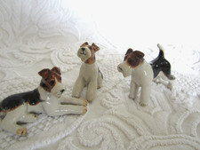 Set fox terrier for sale  CHESTER