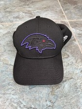 Baltimore ravens new for sale  Leola