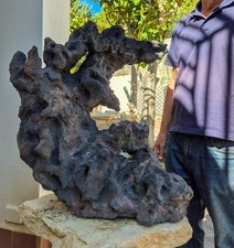 Pietra per bonsai usato  Catanzaro
