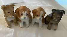 Homeco puppy dogs for sale  Sterling