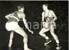 1956 bologna basket usato  Milano