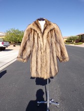 Unisex real raccoon for sale  Las Vegas