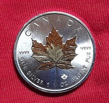Moneta canada elisabetta usato  Italia