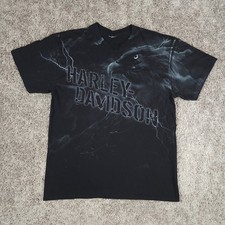 Harley davidson eagle for sale  Flint