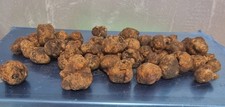 Tartufo bianco scelta usato  Santa Maria del Molise