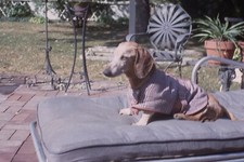 1967 slide basset for sale  Lewisville