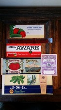 Lot antique vintage for sale  WINCHESTER