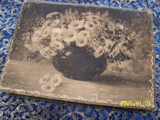 Anciennes fleurs roses d'occasion  Nevers
