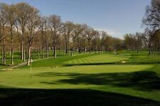 Penncross creeping bentgrass for sale  Odessa