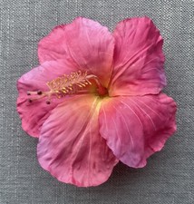New 4.5 hibiscus for sale  San Diego