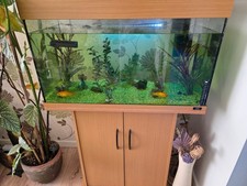 Used, Tropical fish tank for sale  NOTTINGHAM