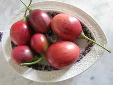 Solanum betacea seeds for sale  HIGH WYCOMBE