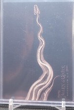 Ball python 2024 for sale  Germantown