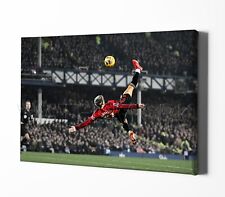 Alejandro garnacho canvas for sale  UK