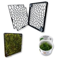 Mooswand rückwand aquarium gebraucht kaufen  Espenau