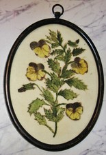 Small antique original for sale  Elma