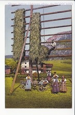 Italien provinz belluno gebraucht kaufen  Duisburg