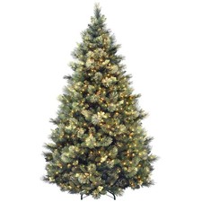 National tree carolina for sale  Haltom City