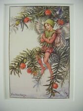 Vintage flower fairies for sale  TELFORD