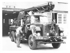 Vintage 1950s photo for sale  EPPING