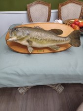 Vintage large mouth for sale  Lubbock