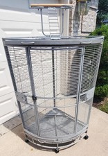 Corner grey bird for sale  West Bloomfield