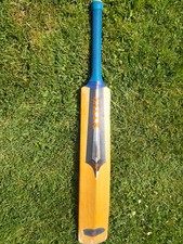 Salix ajk size for sale  BURGESS HILL
