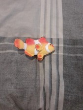 Multi coloured fish for sale  BURTON-ON-TRENT