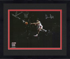 Frmd damon stoudamire for sale  Fort Lauderdale