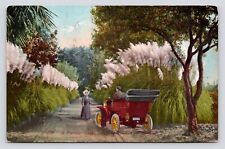Couple antique car for sale  Torrance