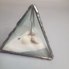 Inch sea pyramid for sale  Saint Cloud