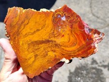 yew slab for sale yew slab for sale Yakima