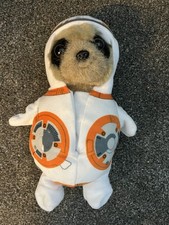 Compare meerkat baby for sale Compare meerkat baby for sale  MINEHEAD