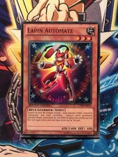 Lapin automate ct09 d'occasion  Élancourt