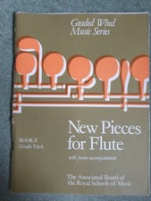 New pieces flute. for sale  SALISBURY