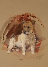 Tina jack russel for sale  IPSWICH