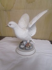 White dove andrea for sale  Brenham