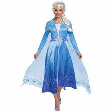 Fantasia Feminina Adulta Elsa Deluxe Disney Frozen 2 Rainha da Neve Filme Semana do Livro P, usado comprar usado  Enviando para Brazil