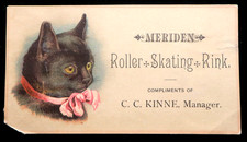 Stunning black cat for sale  Biddeford