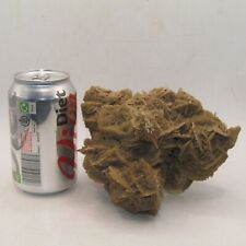 Desert rose large for sale  HALESWORTH