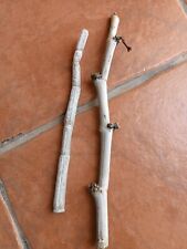 2 Esquejes De Ceropegia Fusca, usado comprar usado  Enviando para Brazil